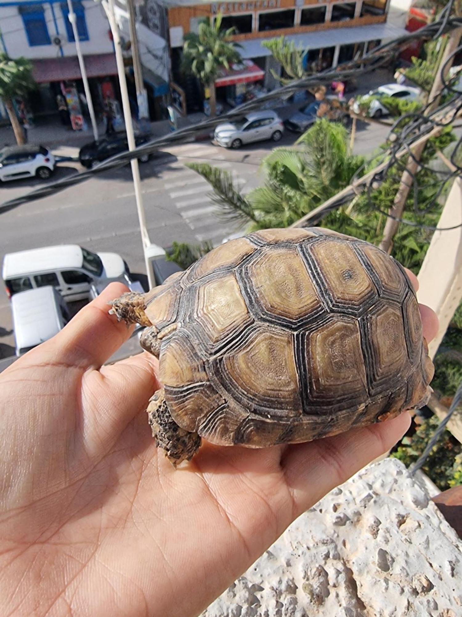 Taghazout 아파트 외부 사진